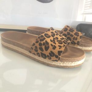 leopard slides